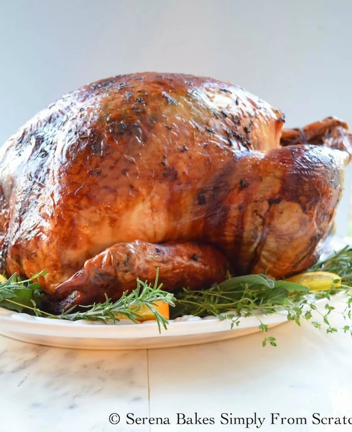 Oster - Not only does this large capacity roaster fit a 26-pound turkey,  but it also does the basting for you with self-basting lid. The Oster 22 QT  Roaster Oven makes holiday