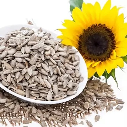 benefits of sunflower seeds food Eating