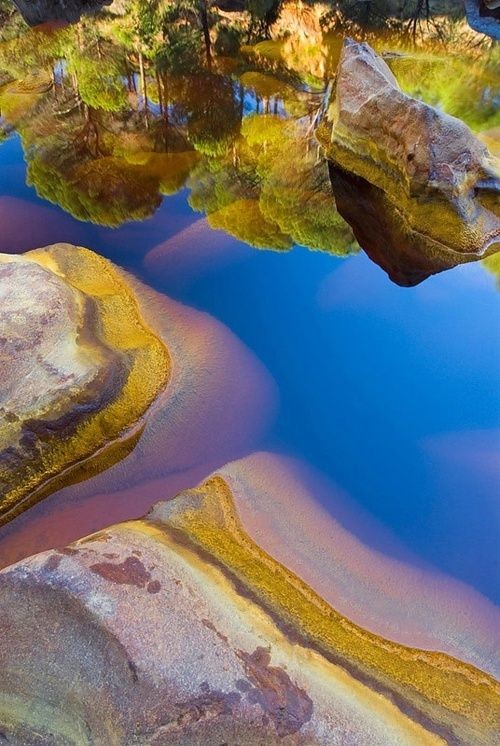 Cómo es el considerado rio más hermoso del mundo - Alcoiris líquido