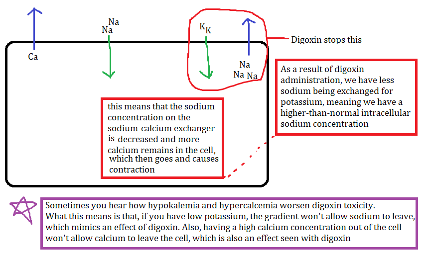 naprosyn cr 750 mg fiyatı naprosyn mechanism of action