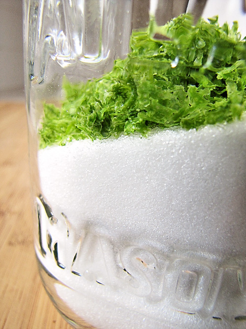 The Great Cake Company Daring Bakers Passion Fruit Gelées with Lime Sugar