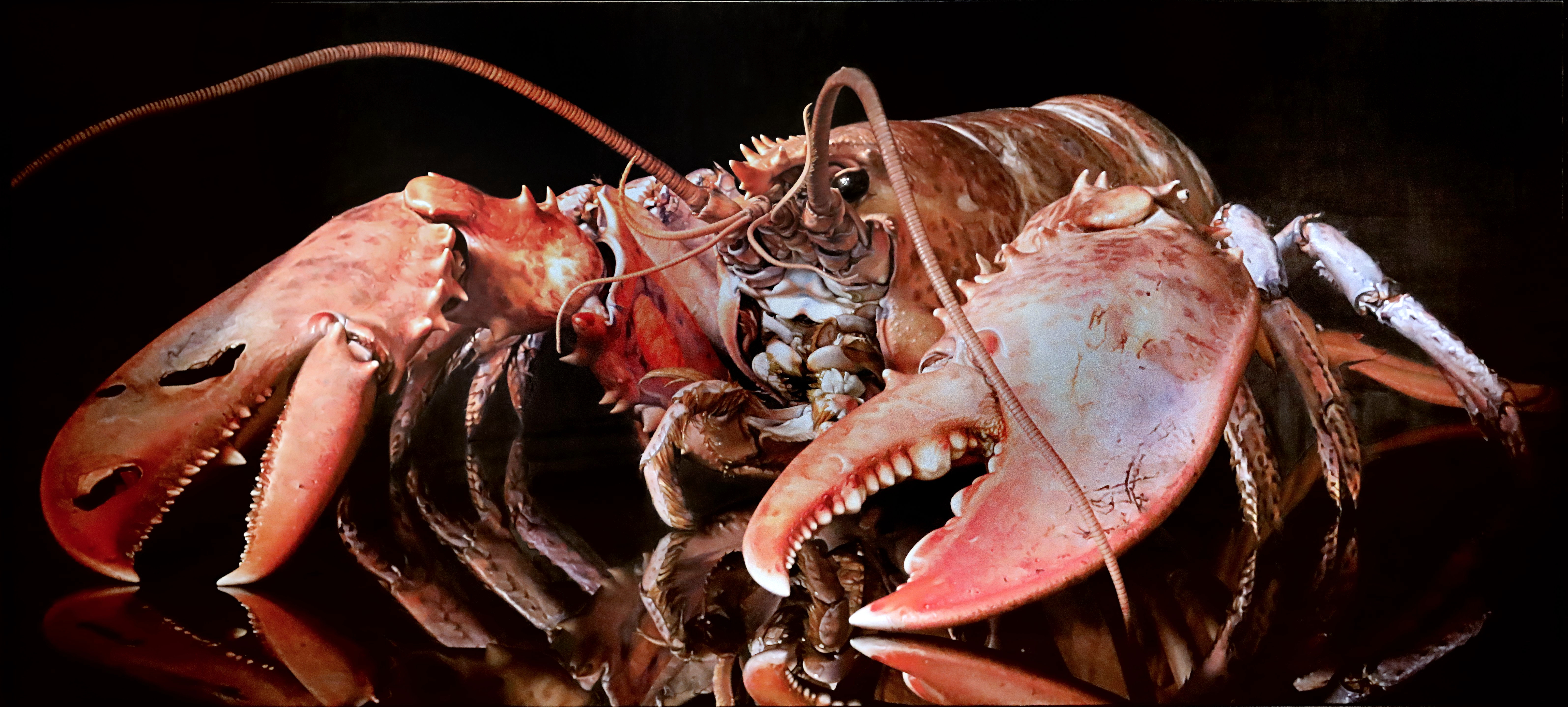 torpedo the ark: prufrock