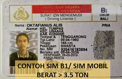 Tentang Surat Izin Mengemudi Penjelasan Lengkap Pakar