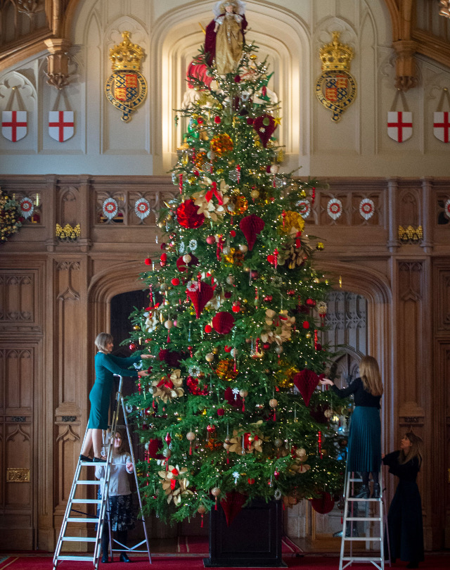 Holiday Inspiration The Beauty and History of the Christmas Tree