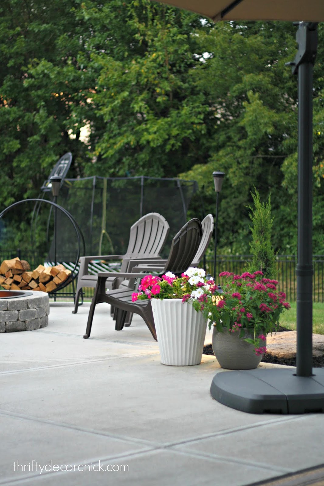 Flowers in planters on patio