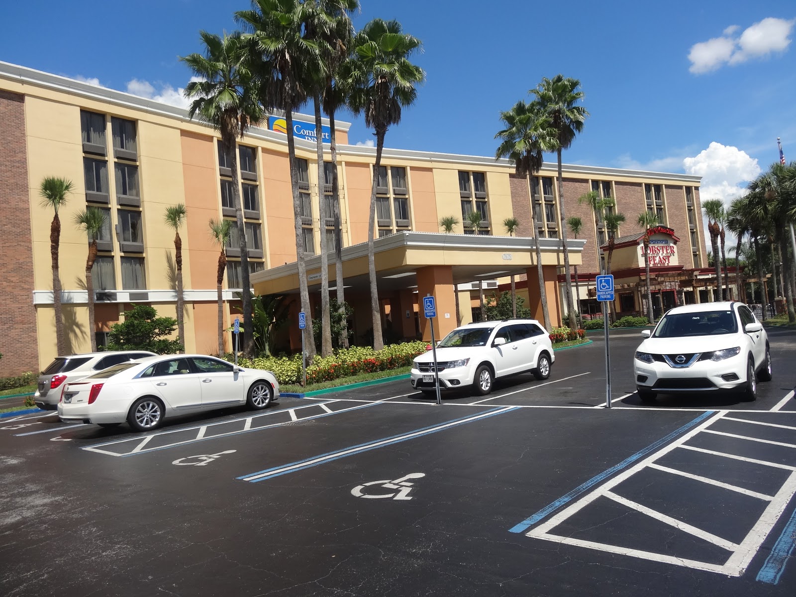 Miquelli S Amerikablog Hotel Comfort Inn Maingate Kissimmee