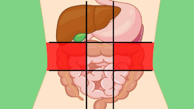 Ciri-Ciri Alergi Telur