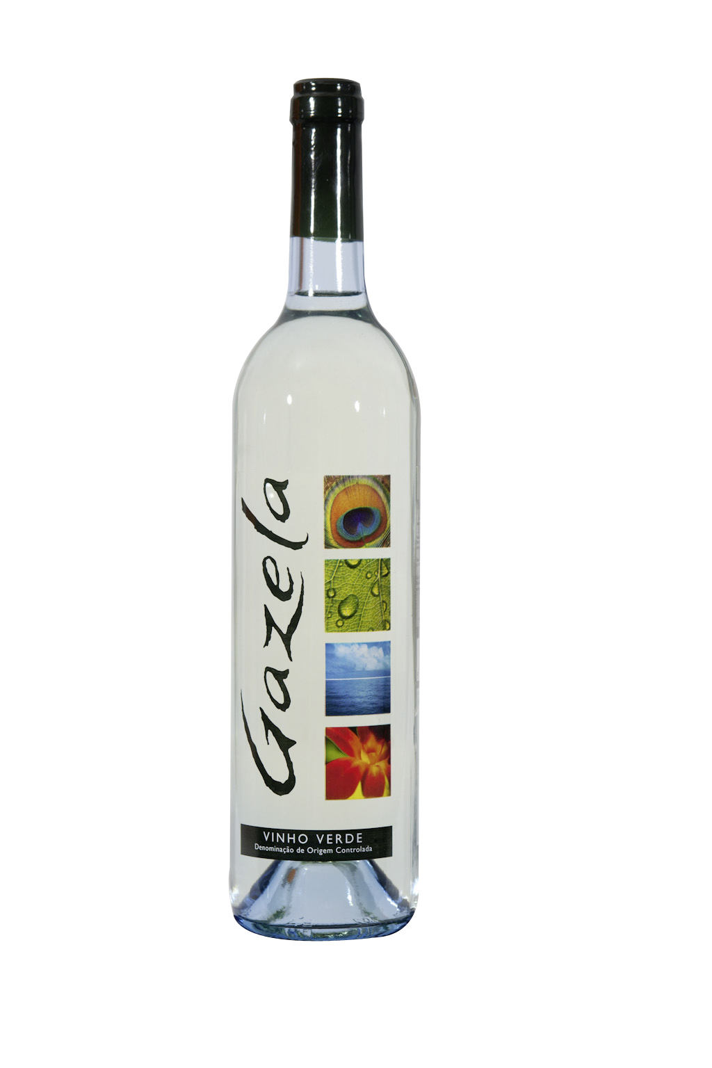 vinho verde wine