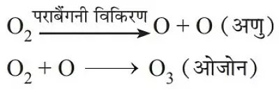 10 Class Science Notes in hindi chapter 15 Our Environment