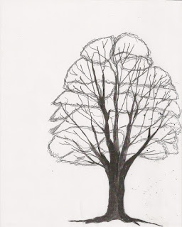 sketch of trunk and llmbs with foliage blocked in