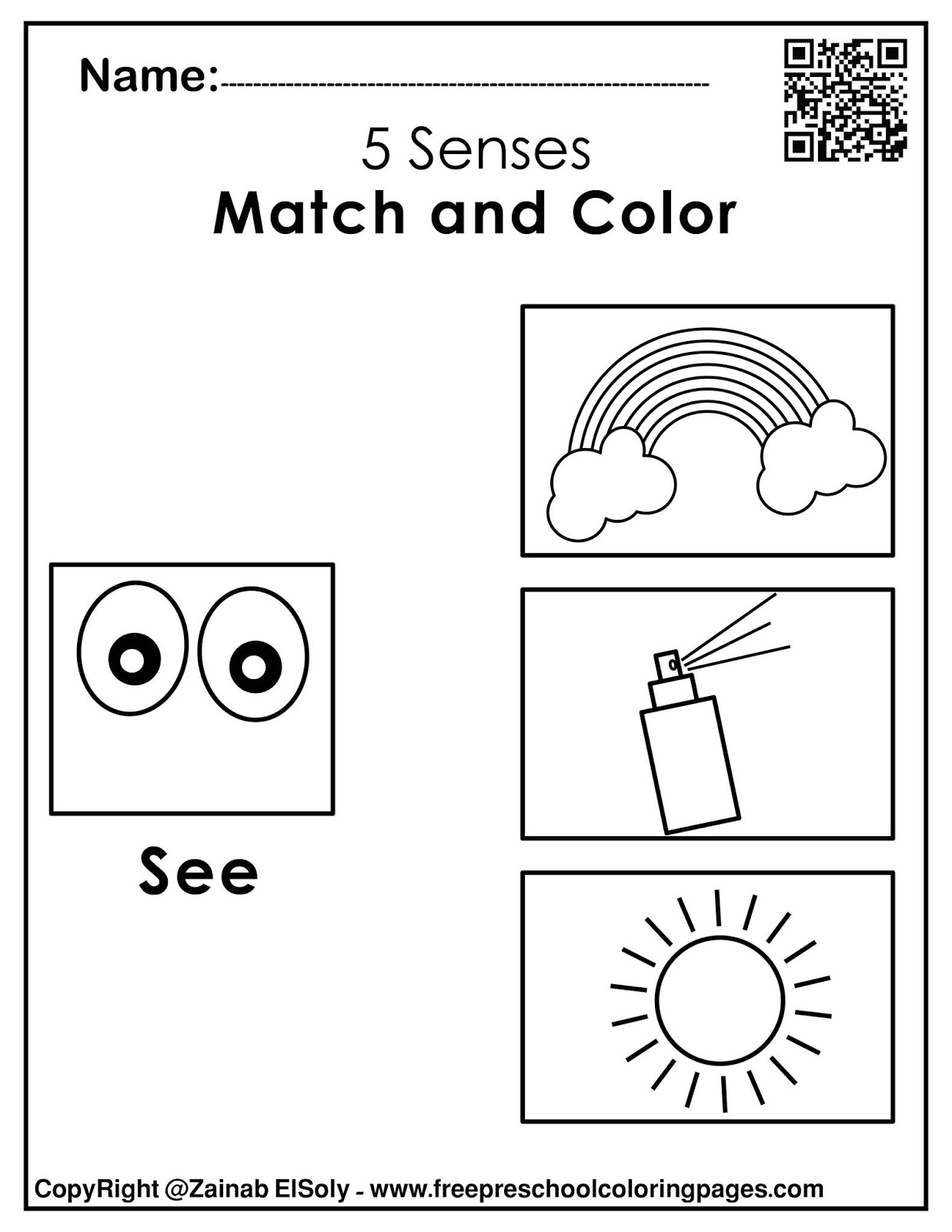 Sense Of Sight Worksheets