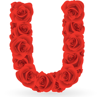 Abecedario de Rosas Rojas. Red Roses Alphabet.