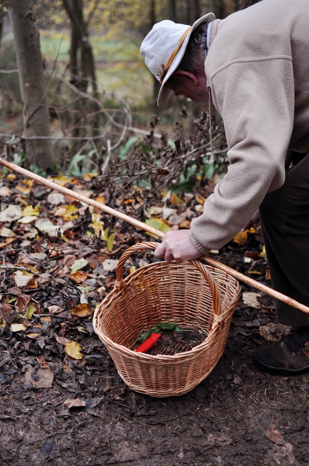 FORAGING IN THE FOREST OF DEAN WILD & GRIZZLY