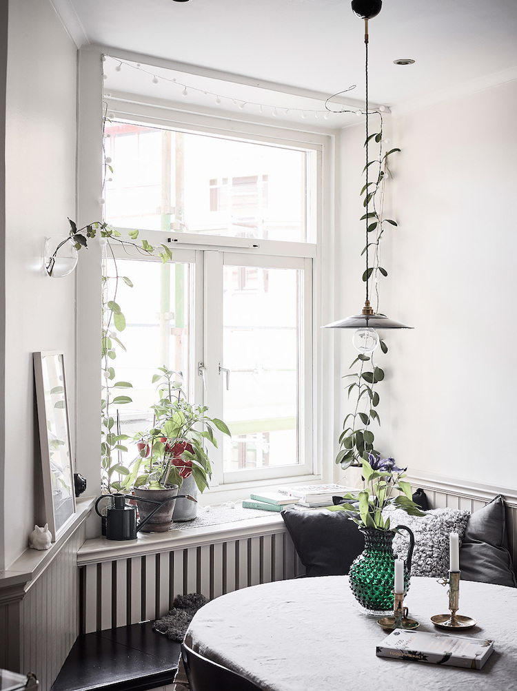 my scandinavian home Going up in 2018 indoor climbing plants