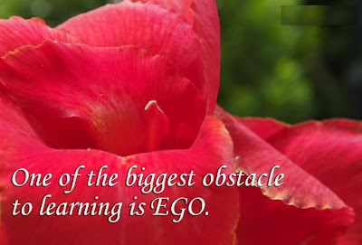 Ego Quotes Quotes on EGO
