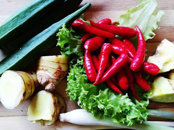 ginger health benefits