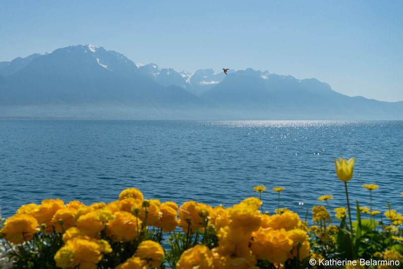 Quai D'Ouchy Lausanne Things to Do