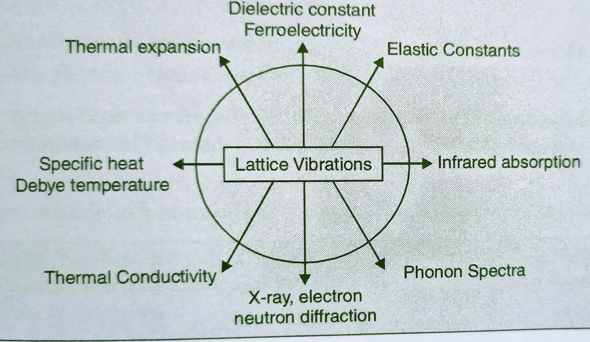 Lattice Vibration researchers-solid-state-lighting-energy-electronics-center