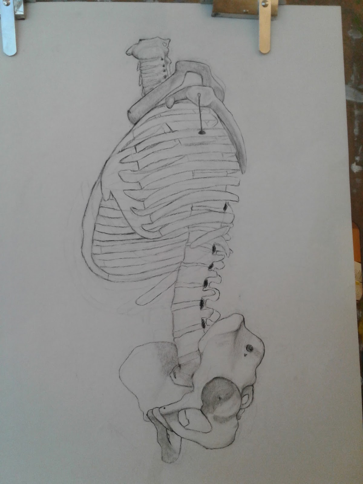 Drawing & Painting: spooky scary skeleton