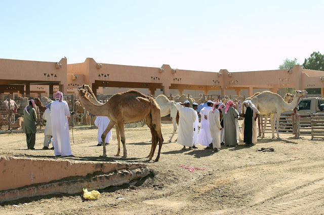 Al Ain, Emiratos Árabes Unidos