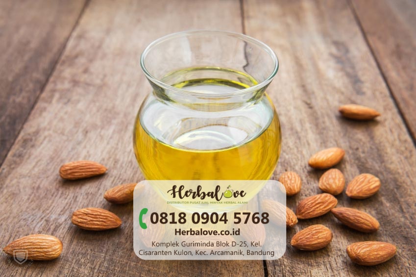 distributor minyak almond Lumajang” height=