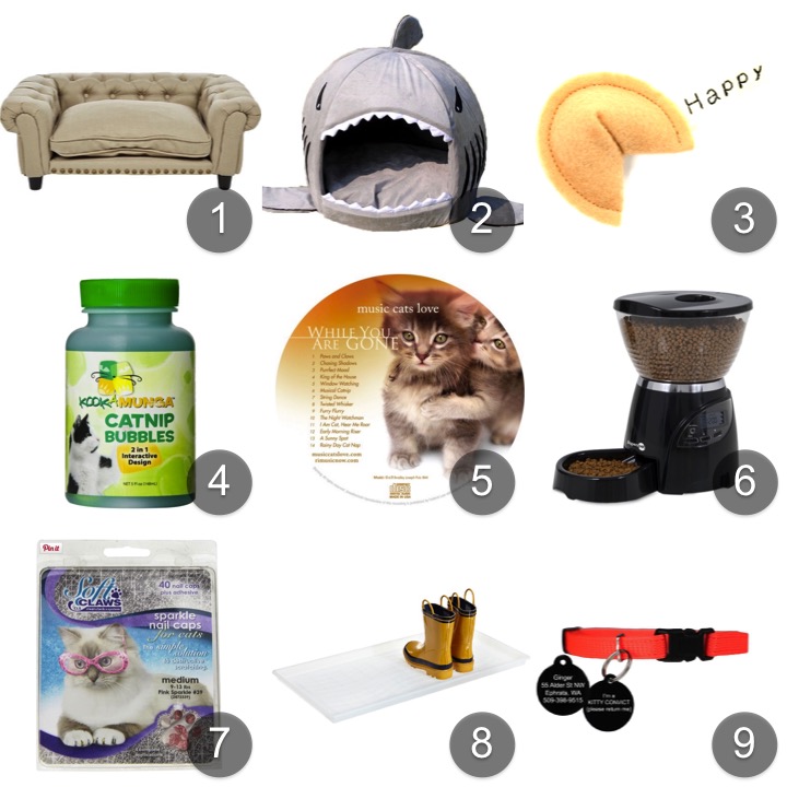 LIFE AS YOU LIVE IT 9 Things your cat wants you to buy for them!