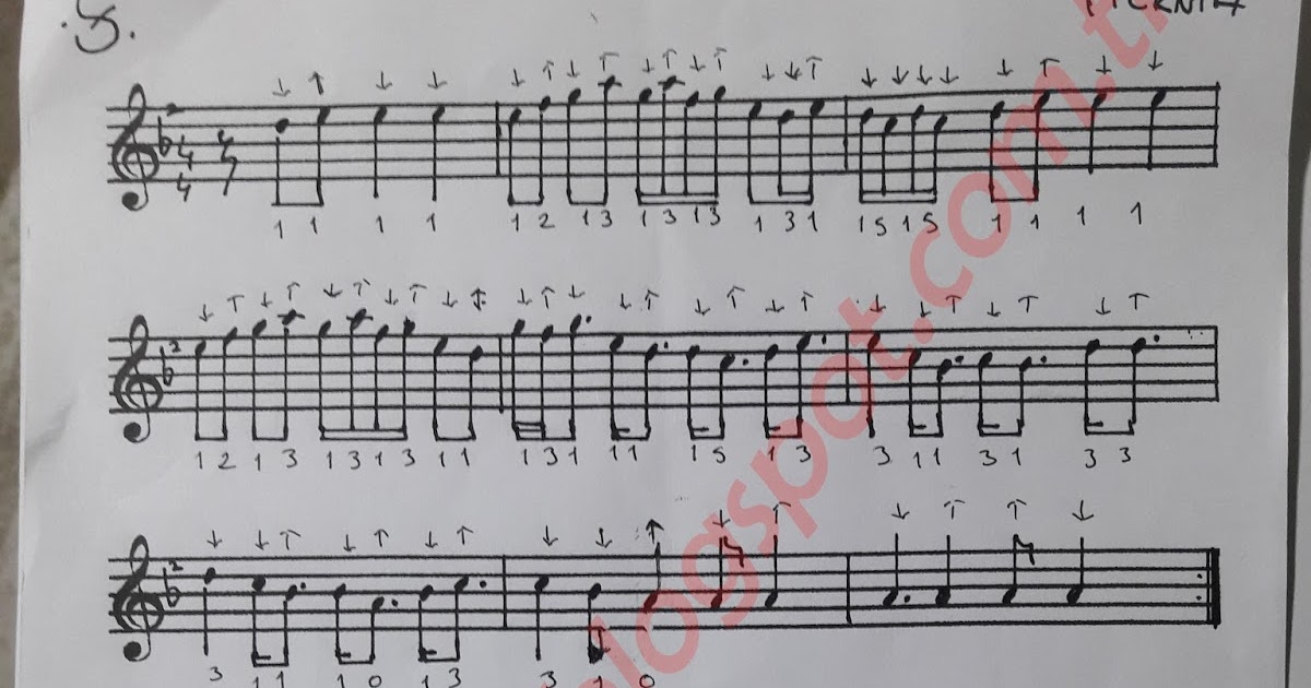 Müzik Şarkı sözleri oku dinle NENNİ BEBEK UZUN SAP