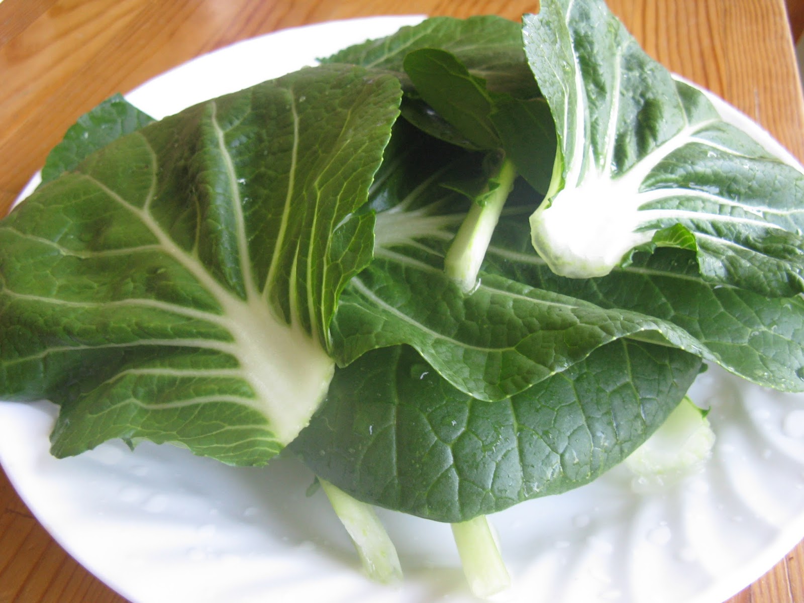 Raised Food bok choy / mustard greens