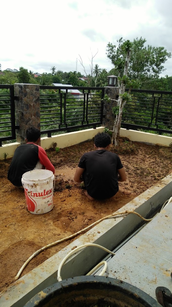 TIPS & TRICK MENATA TAMAN RUMAH DENGAN LAHAN YANG SEMPIT AGAR INDAH