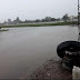 (videos) CHACO: EL SUDOESTE BAJO AGUA CON LLUVIAS DE CASI 300 MILÍMETROS 