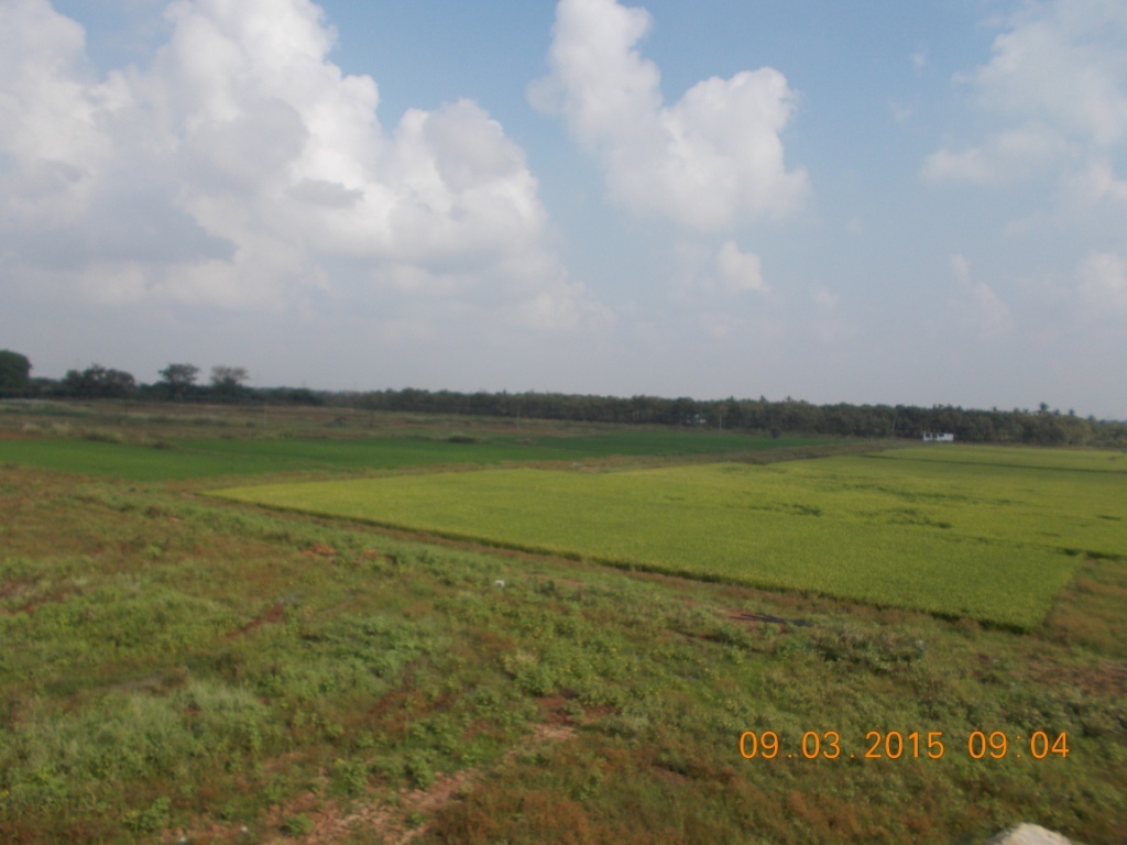 SRI BALAJI REALS 40 Acre Farm Land for sale in Melaseval Tiruneveli