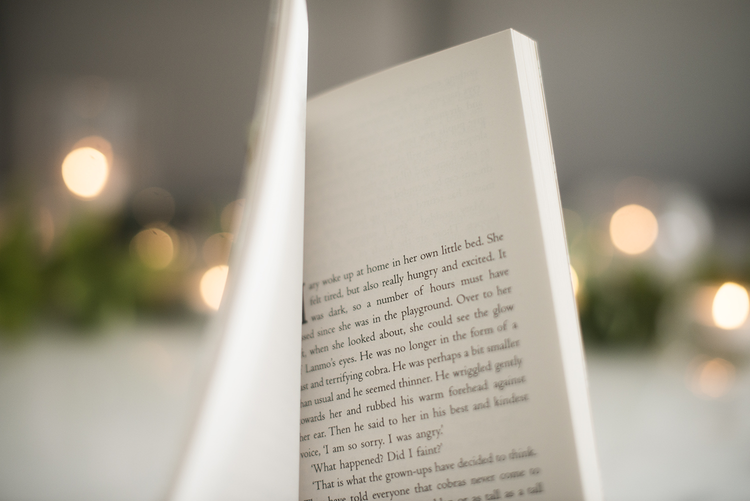 BOOK REVIEW THE LITTLE SNAKE BY A. L. KENNEDY The Book Castle