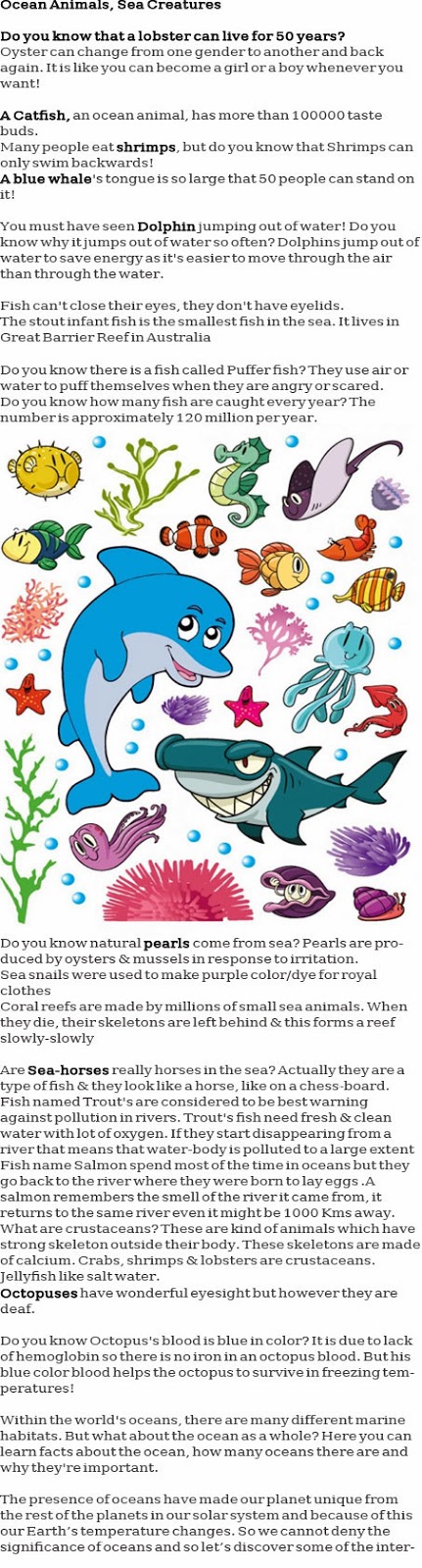 Ocean animals for kids