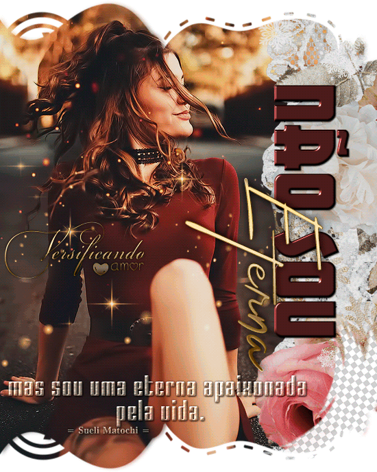 sueli5.gif