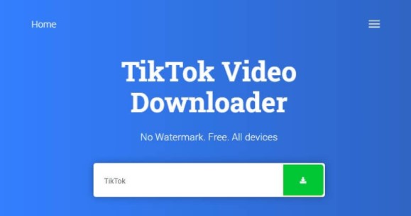 Download Video Tiktok tanpa Watermark