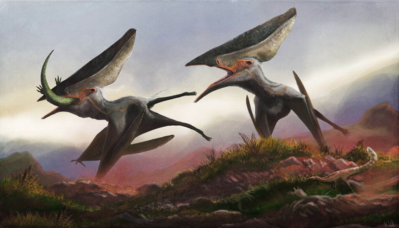 Mark P. Witton's Blog: The appearance and lifestyle of Thalassodromeus  sethi, supercrested pterosaur