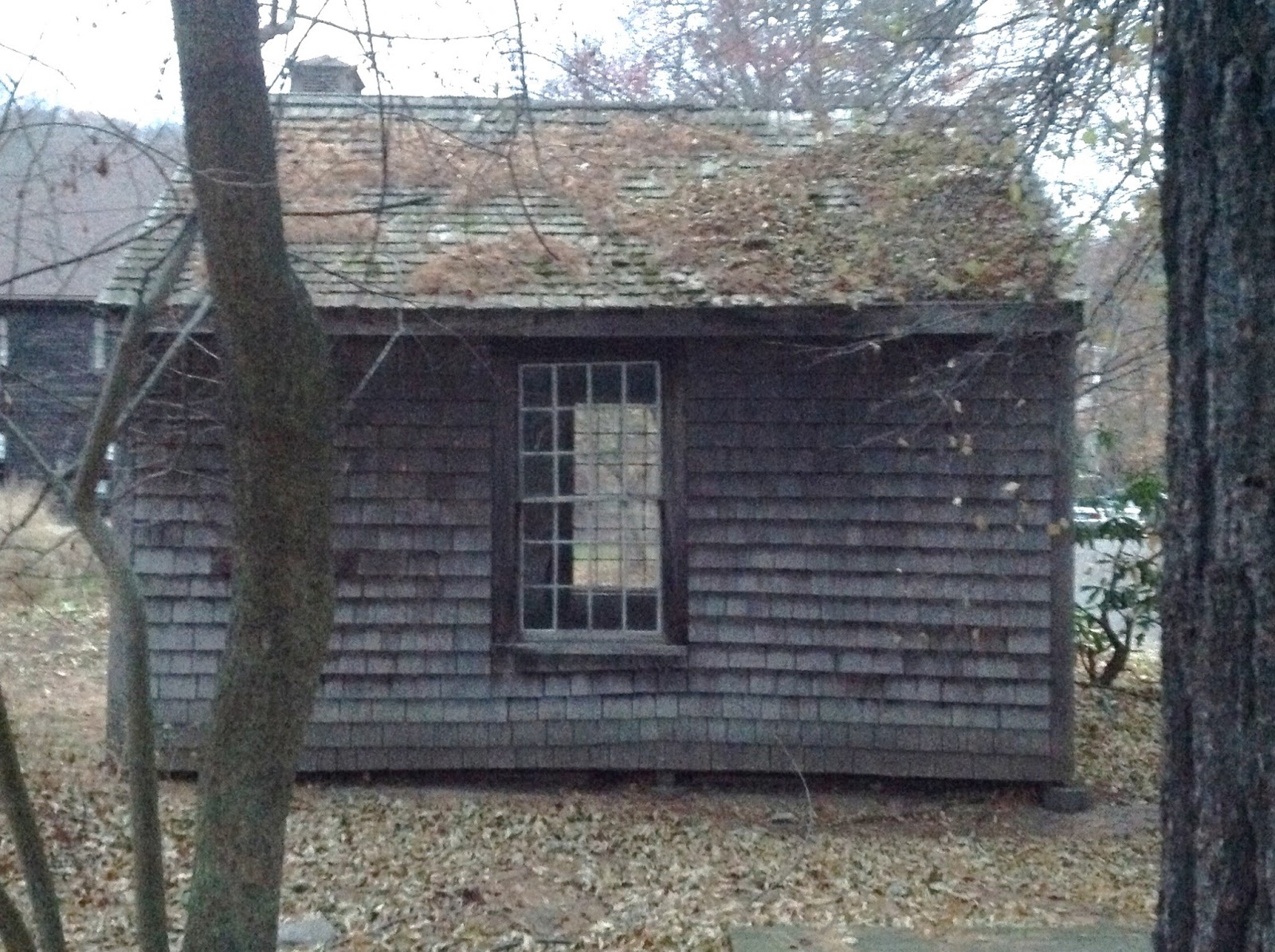 Life From The Roots Some of Henry David Thoreau's Houses