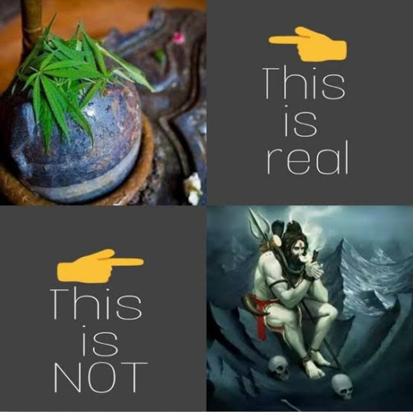 Why is Lord Shiva associated with Bhang? Does Lord Shiva & Bhaang