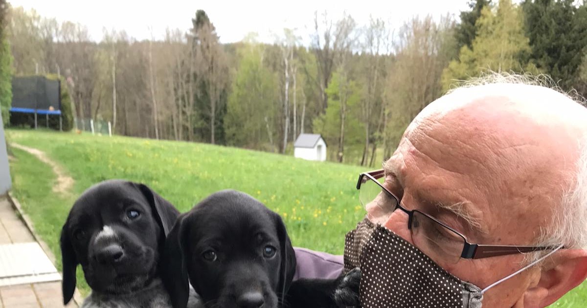 DK vom Moosbach Quintus und Quando