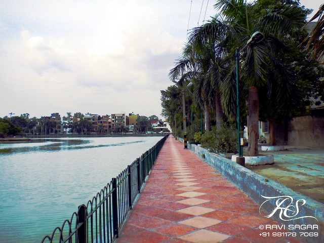 Naini Lake, Model Town, Delhi