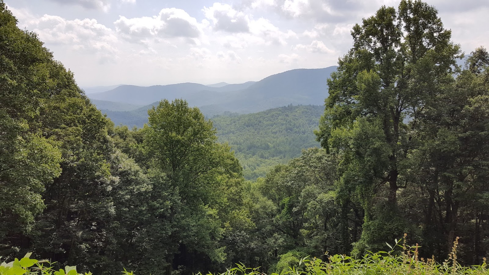 Lori's Adventures Walk in the Cohutta Wilderness....