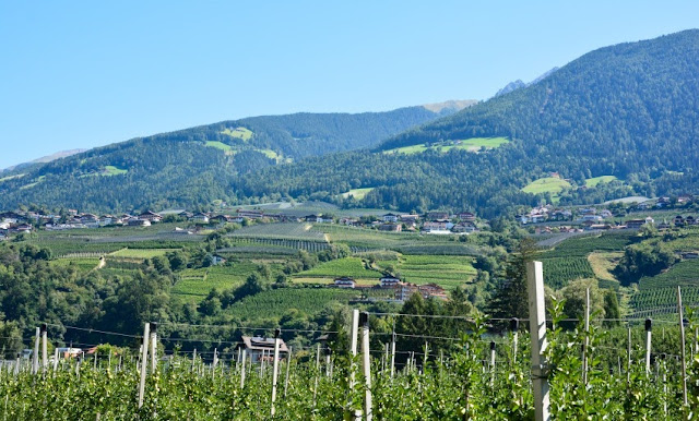 Meran in Südtirol