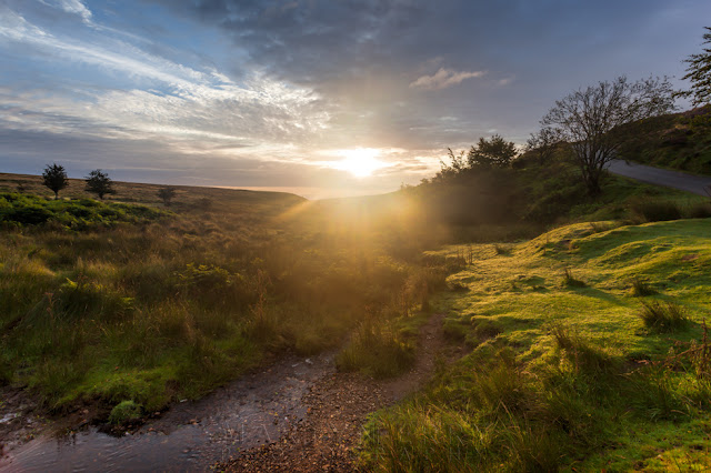 Morning sunlight into the camera in beautiful Exmoor 
