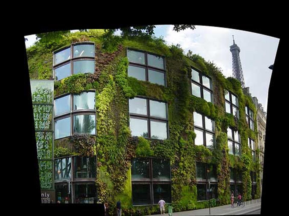 worldimage4u: Hanging Gardens