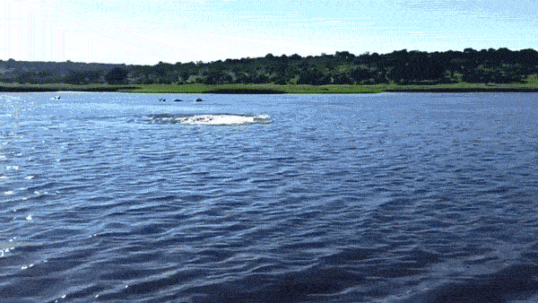 갓하마.gif | 인스티즈