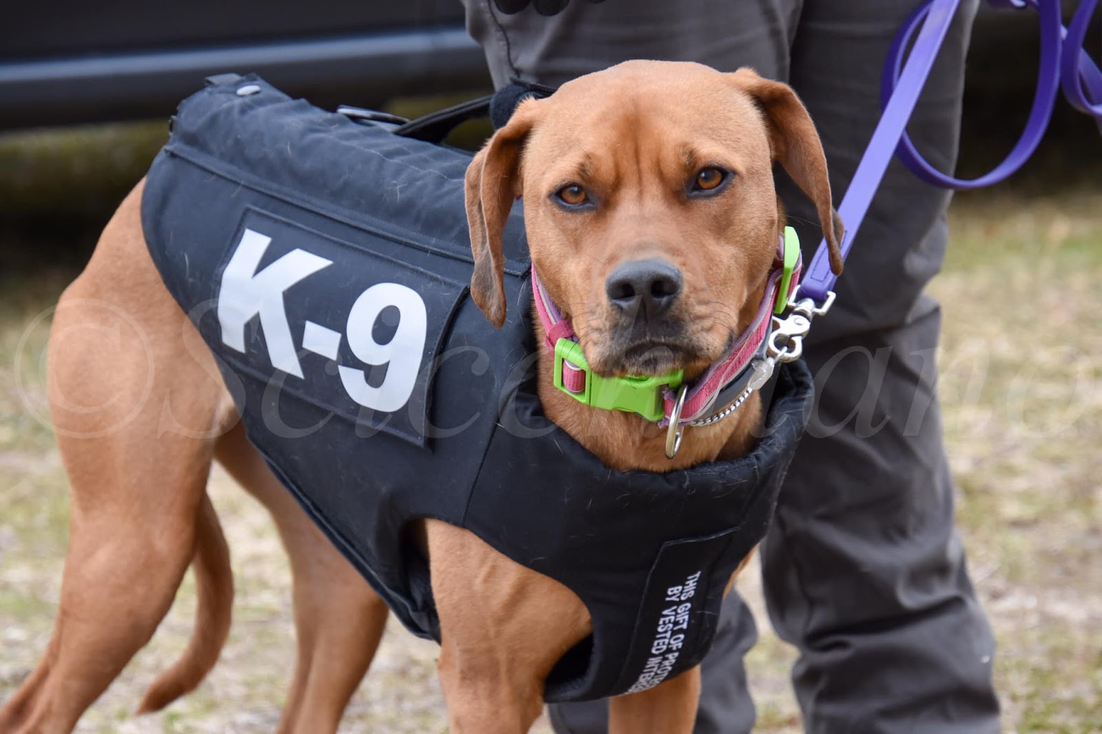 Bullet and Stab Protective Vest Donated to Local K9 Rescue Squad