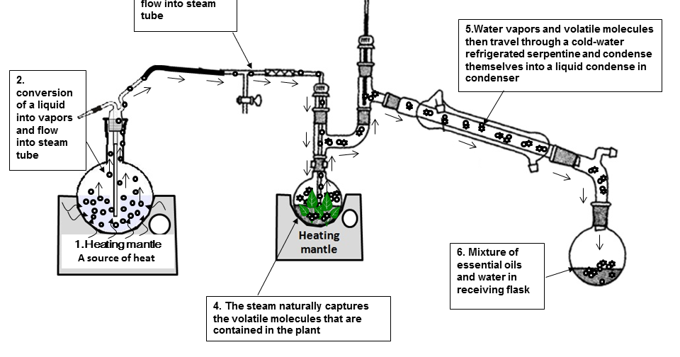 E-Lifes: Steam distillation process and setting up.