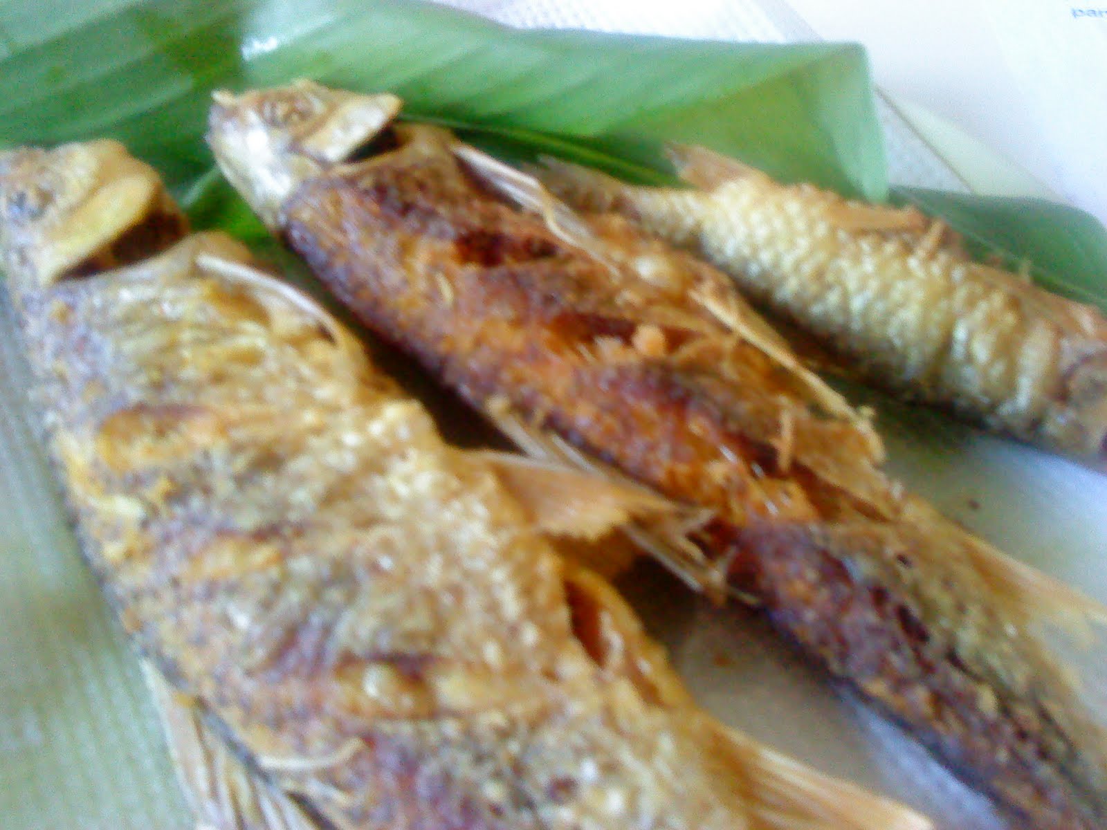Warisan Bonda Resepi: Ikan oh ikan