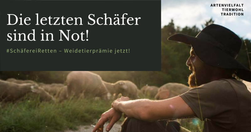 Specflash 9 By Rainer Schwippl Issuu