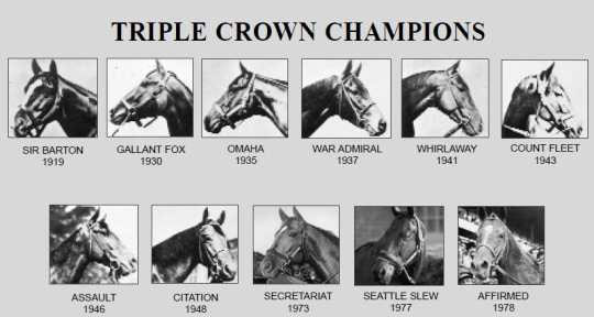 vvb32 reads: Triple Crown: Belmont Stakes